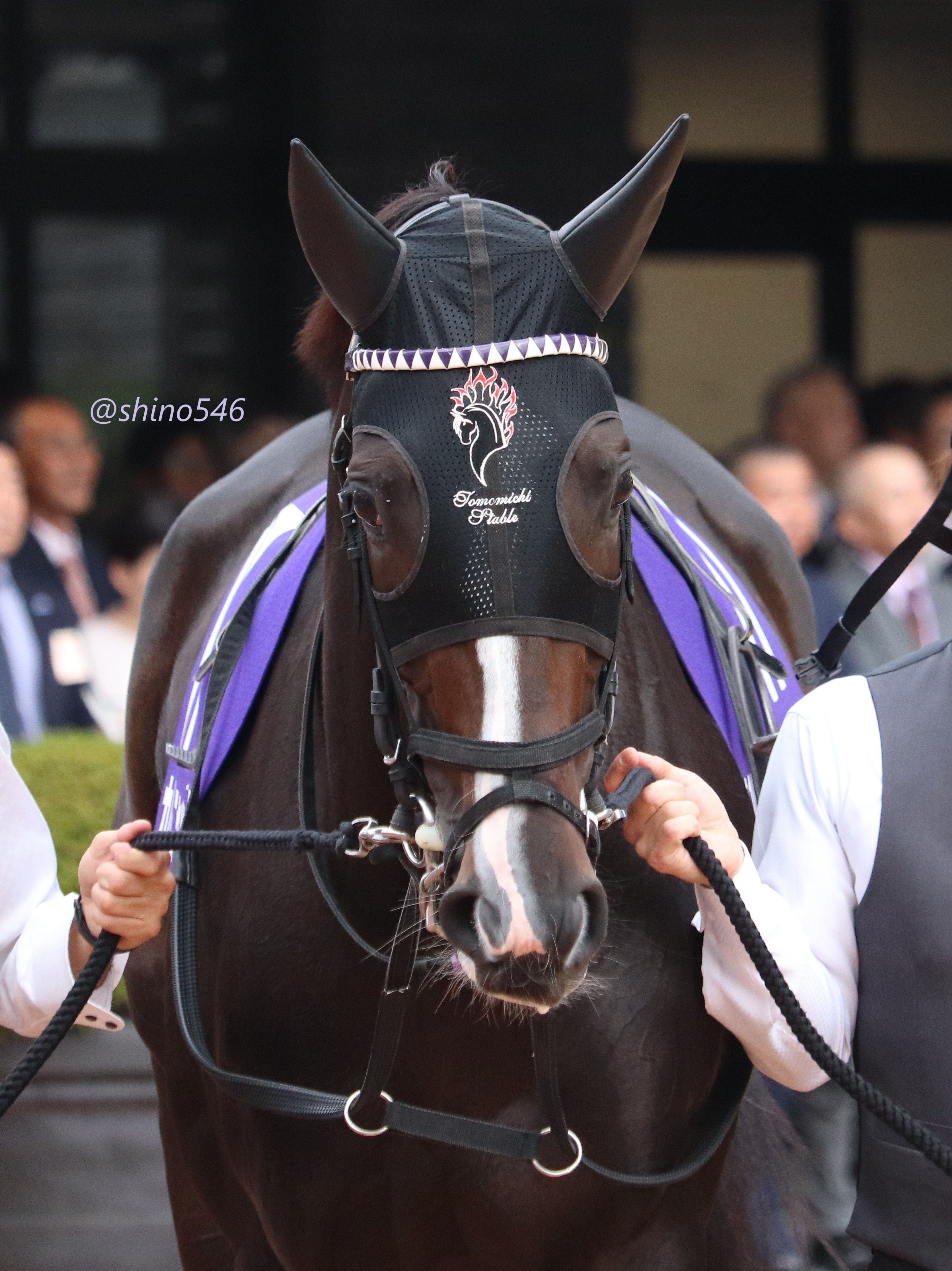 2025.10.19 秋華賞 全馬PHOT@京都競馬場｜shino546