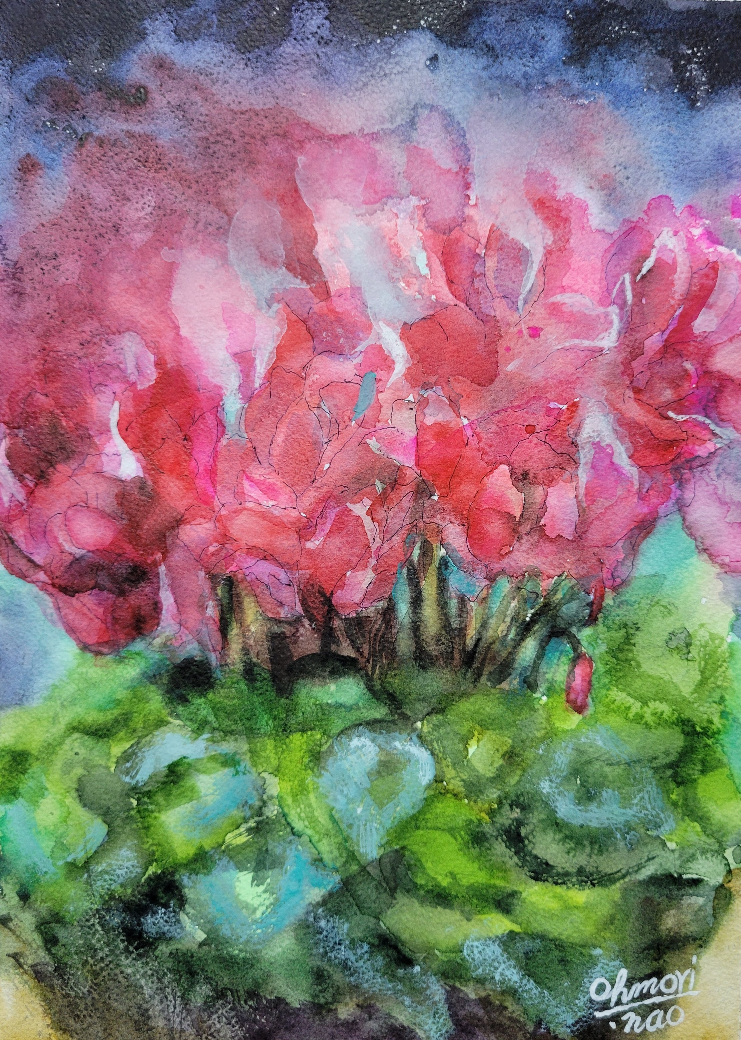 徒然柿』透明水彩「シクラメン」｜おおもり なお【大森尚行】