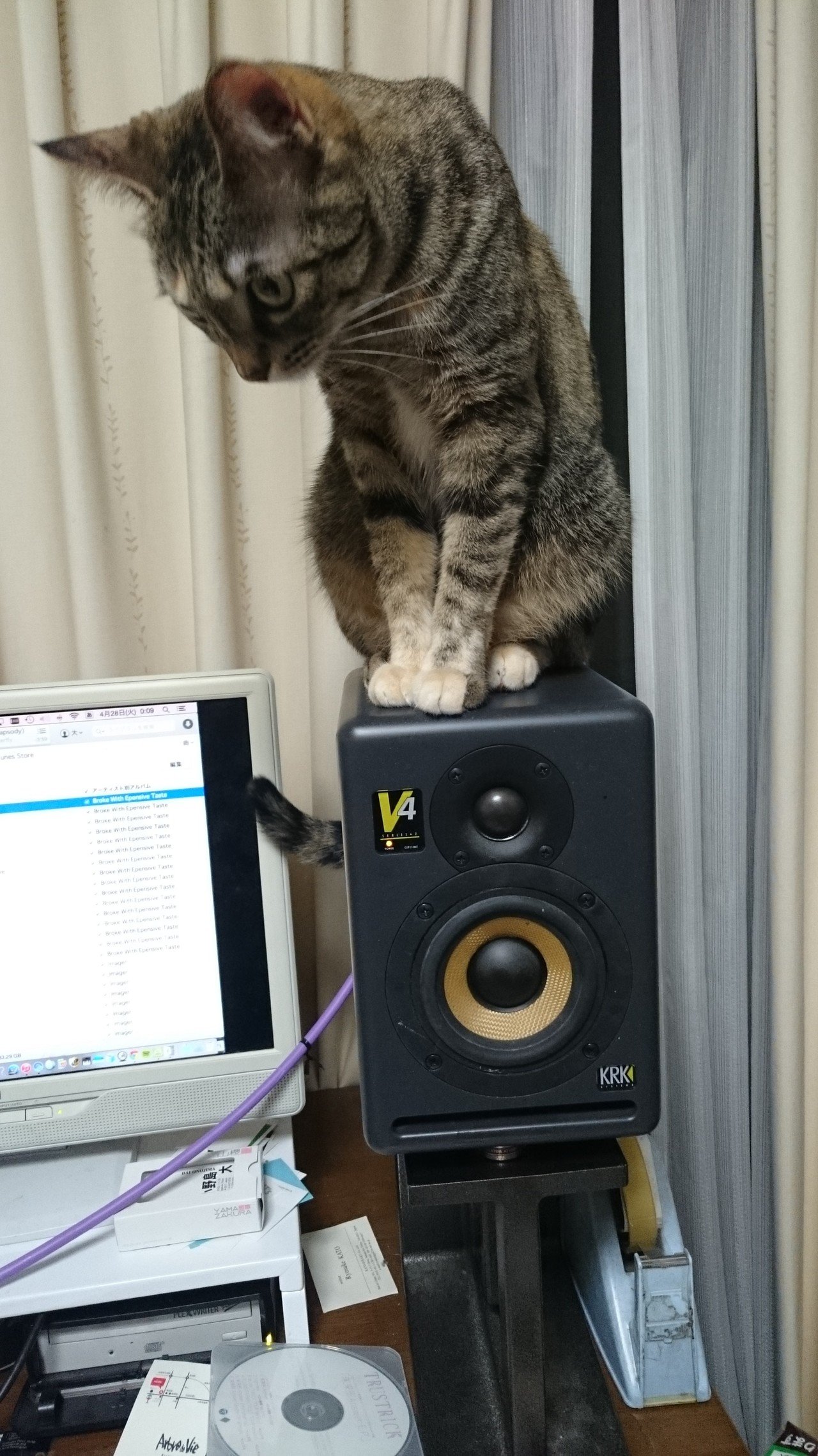 スピーカーを買い換えた~SOULNOTE SM10（長文注意）｜小野島 大