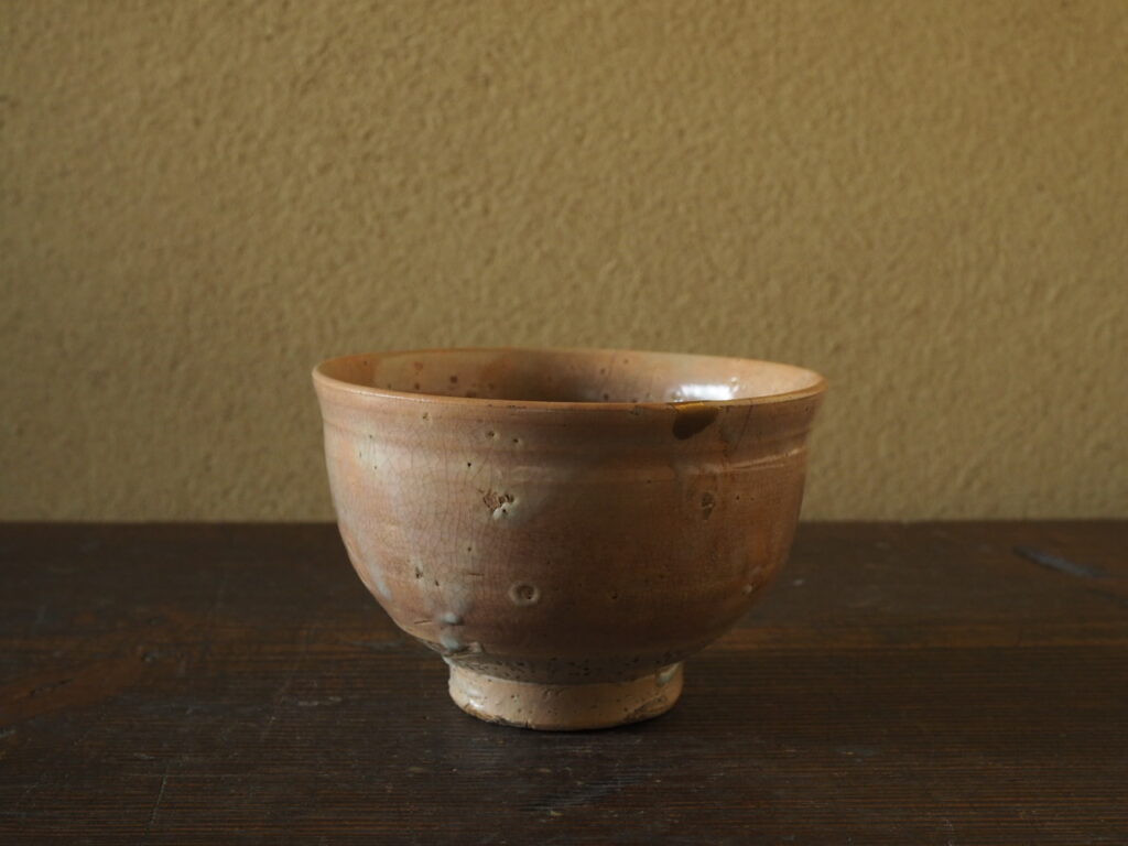 P2070005-4-1024x768.jpg