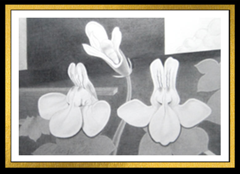 公募展を目指す植物と花の鉛筆画・デッサン：構図と質感の描き方