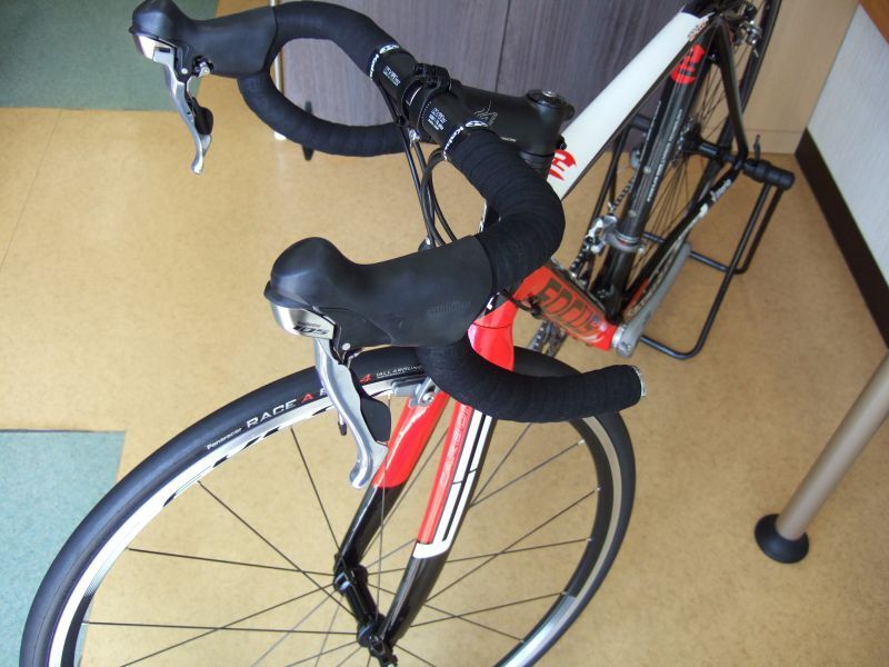 FOCUS CAYO IZALCO EXTREME REPLICA（フォーカス カヨ イザルコ