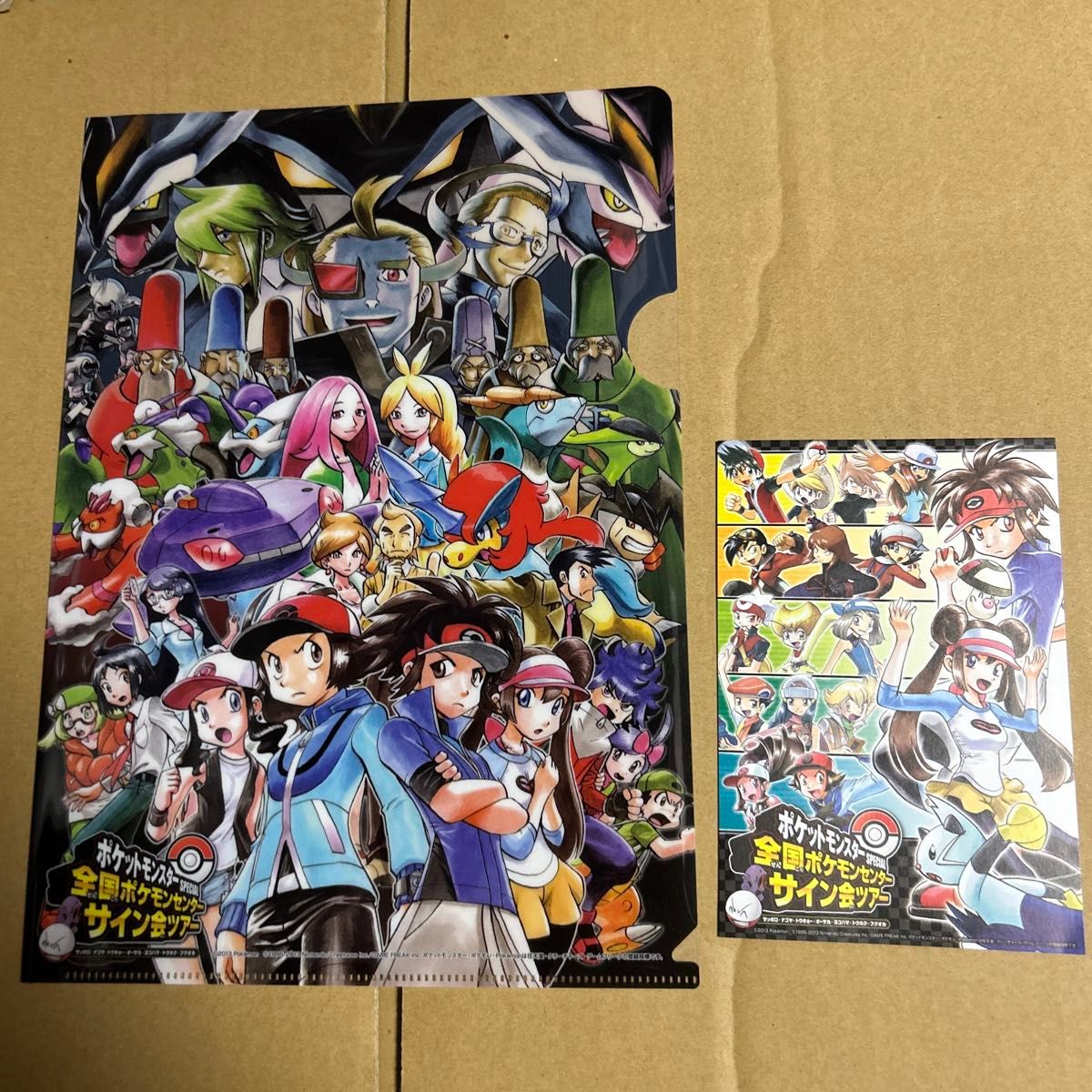 ポケモン 剣盾ホワイトデーキャンペーン当選品 クリアファイル