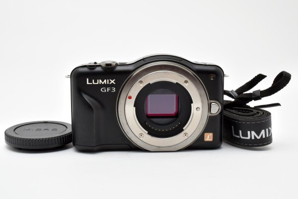 2026年最新】Yahoo!オークション -dmc-gf3の中古品・新品・未使用品一覧