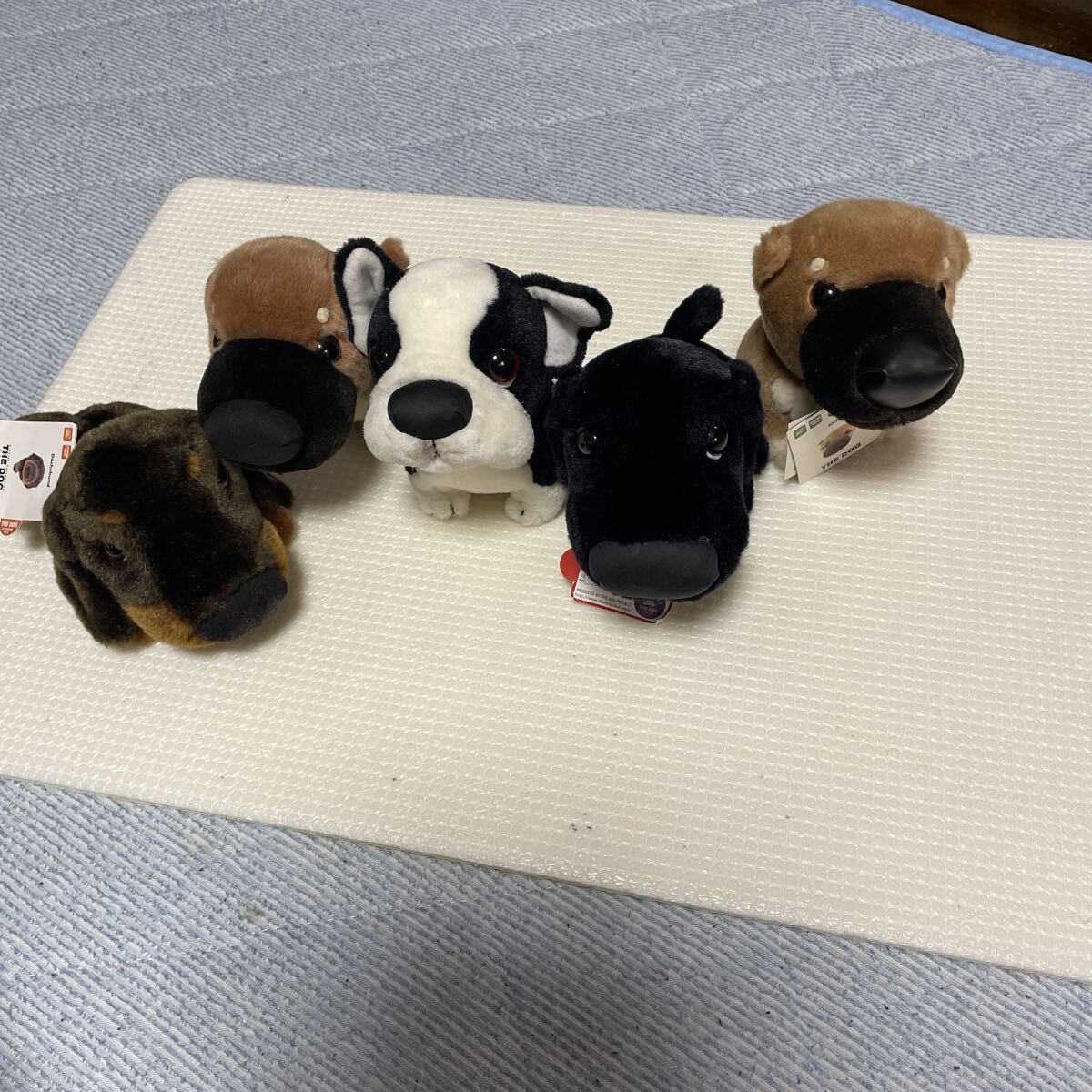 2026年最新】Yahoo!オークション -the dog ぬいぐるみの中古品・新品
