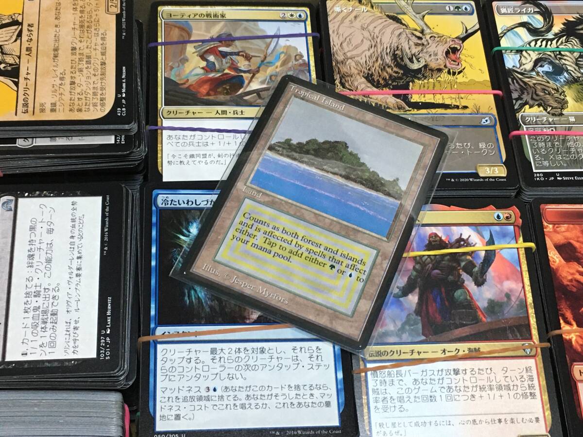 Yahoo!オークション -「tropical island mtg」の落札相場・落札価格