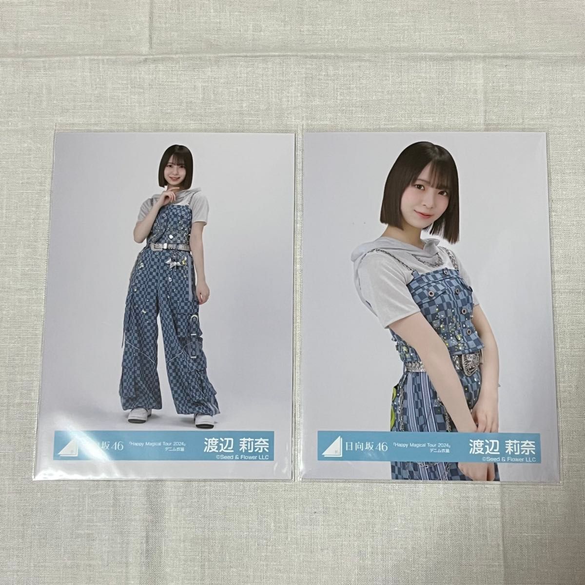日向坂46 生写真 Happy Magical Tour 2024 サンタ衣装 片山紗希 コンプ