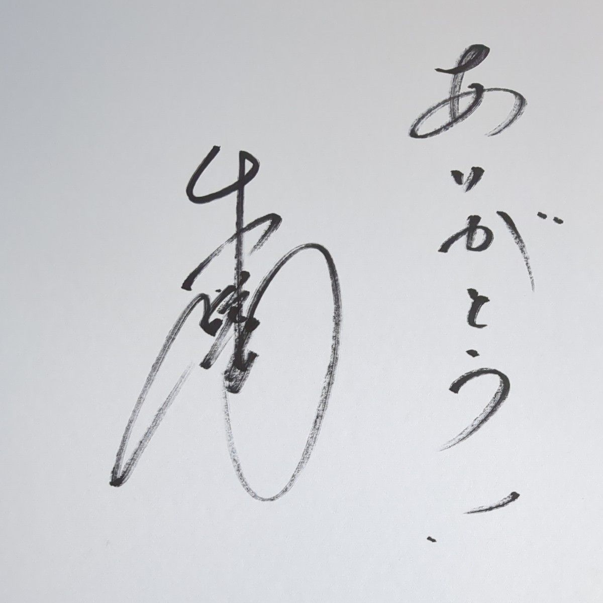 ミュージシャン タレント 俳優 所ジョージ 直筆サイン 色紙｜Yahoo