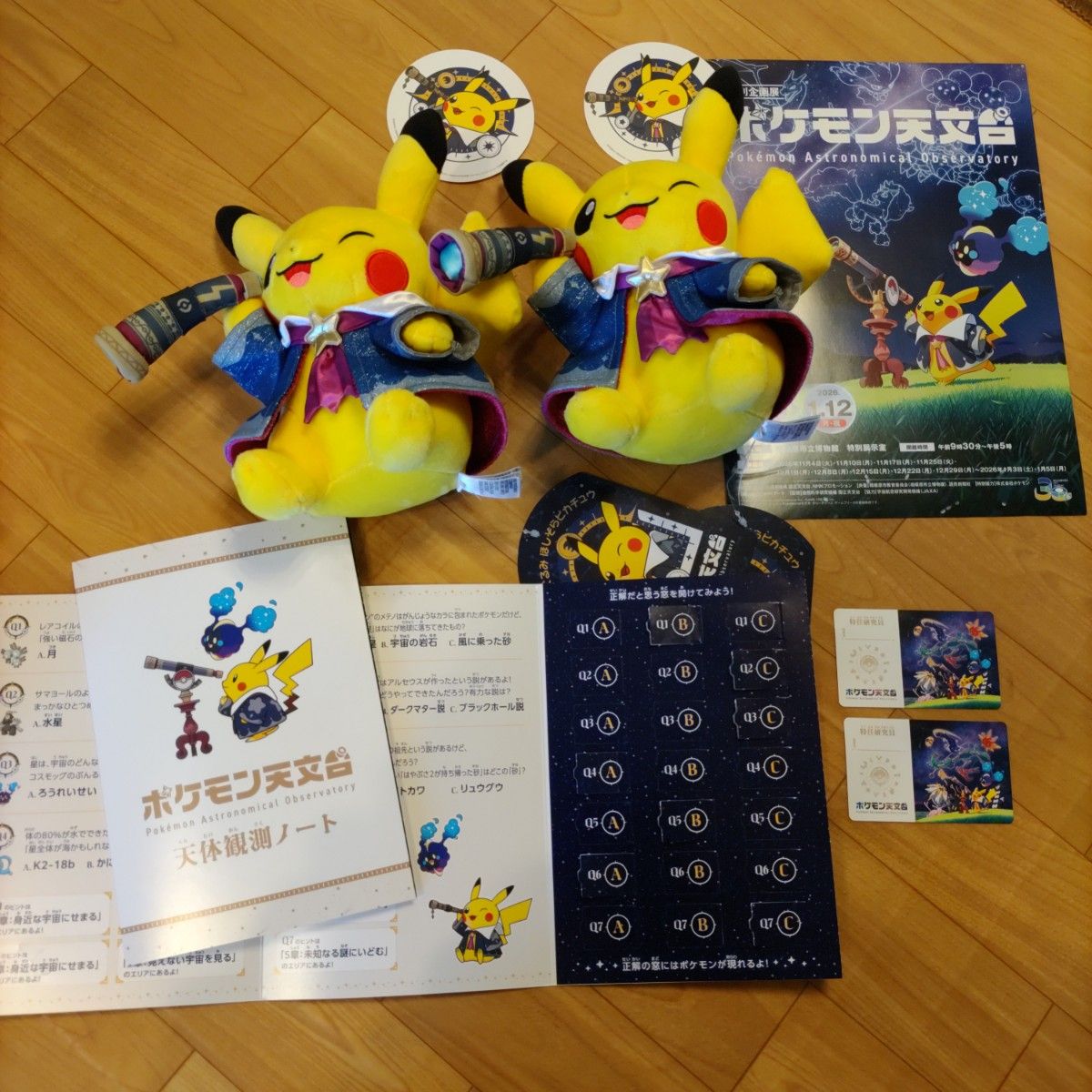 ぬいぐるみ ほしぞらピカチュウ ポケモン天文台 限定｜Yahoo!フリマ