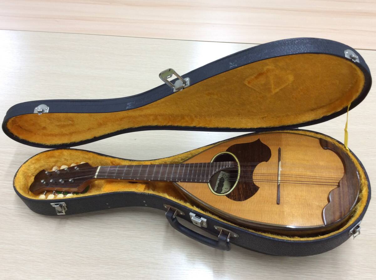 Yahoo!オークション -「kunishima mandolin」の落札相場・落札価格
