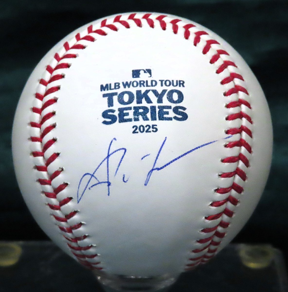 中田翔投げ込み直筆サインボール(ボールのみ) 【激レア！1円スタート