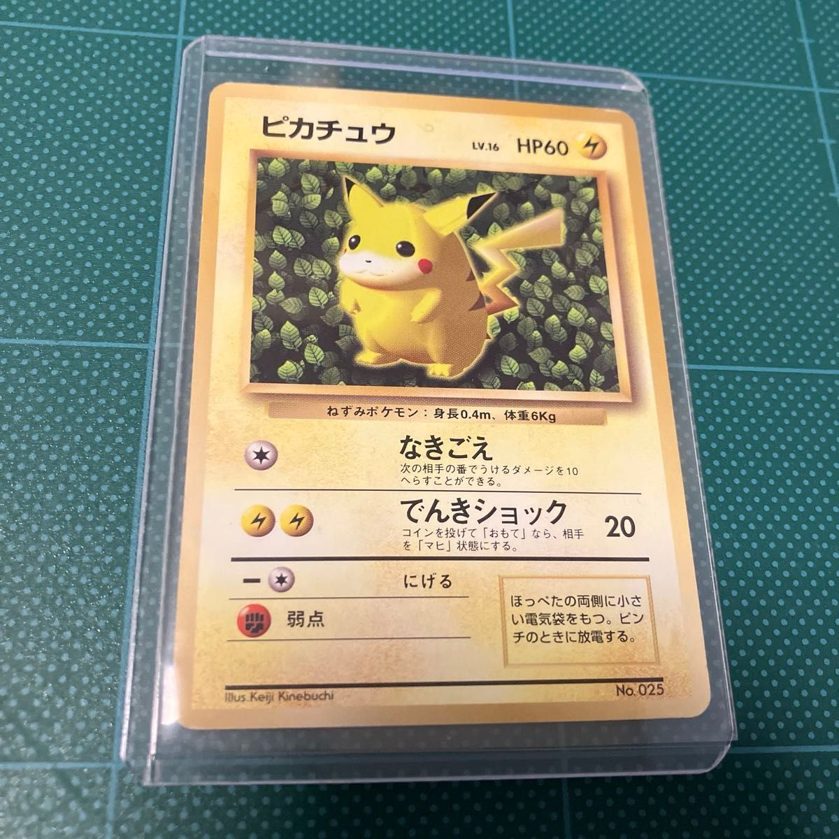 ピカチュウ Ken Sugimori 誤表記 プロモ 旧裏 光沢あり コロコロ
