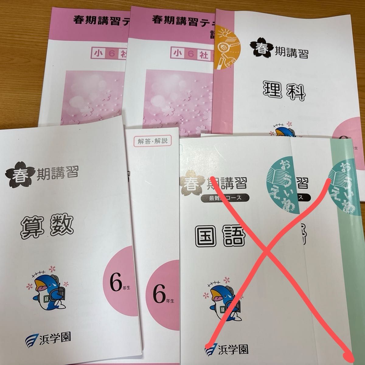 1年分】サピックス 4年 社会 テキスト1年分｜Yahoo!フリマ（旧PayPay