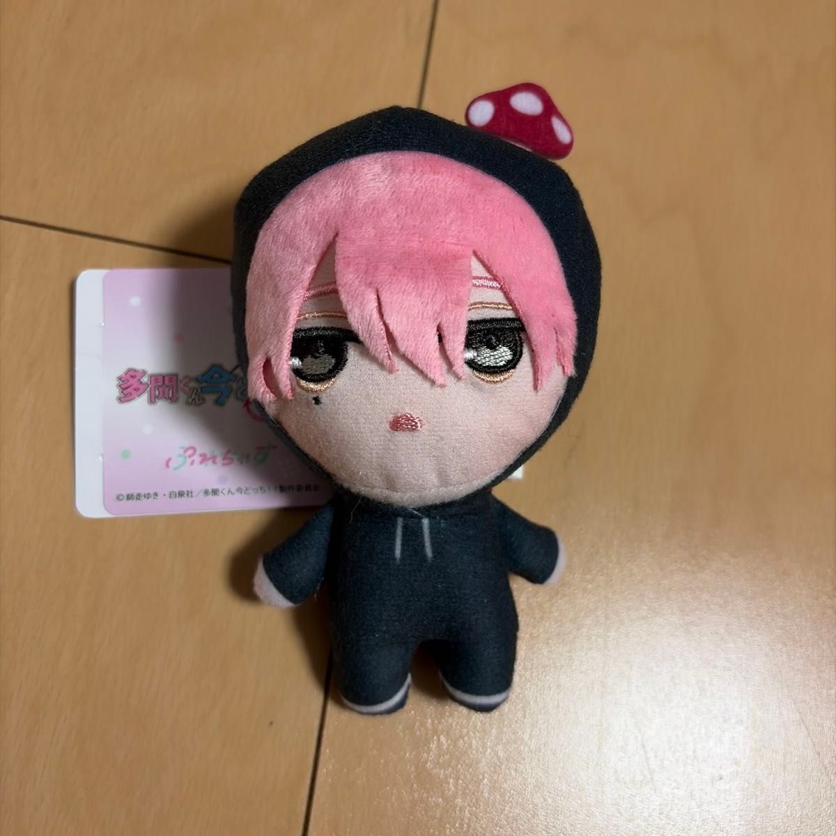 坂口桜利 ぬいパル 多聞くん今どっち ぬいぐるみ ボールチェーン