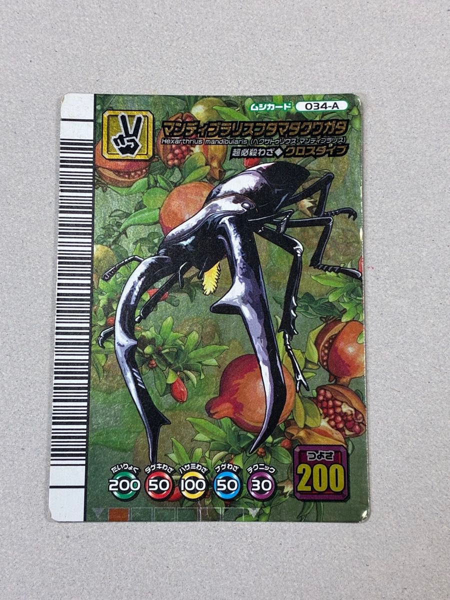 ムシキングカード マンディブラリスフタマタクワガタ アダー