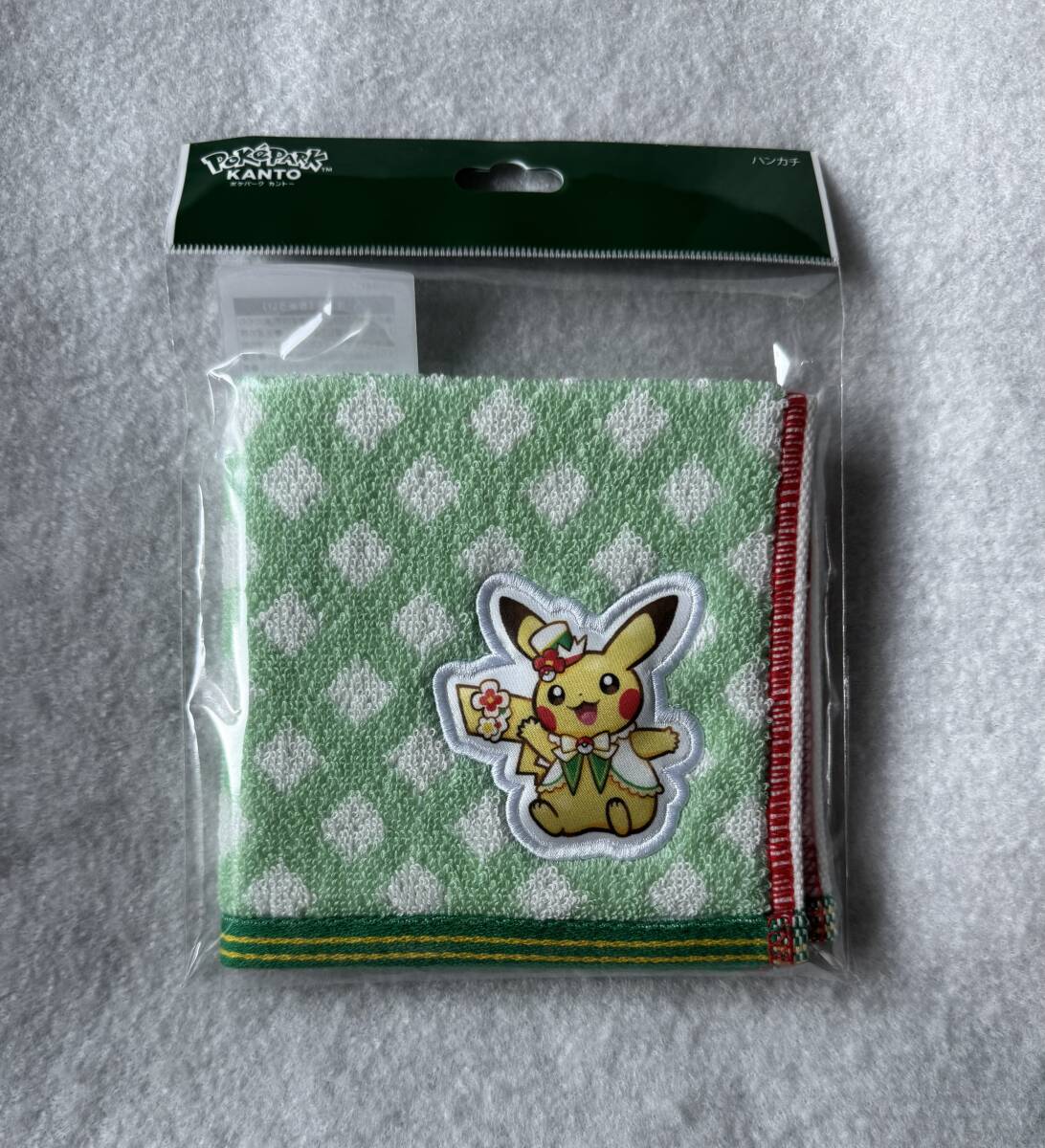 2026年最新】Yahoo!オークション -ポケモン ポケパーク(コミック