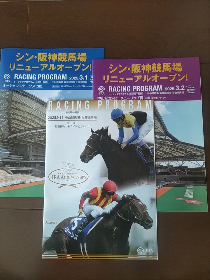 Yahoo!オークション - 貴重 JRA レーシングプログラム 第52回菊花賞他