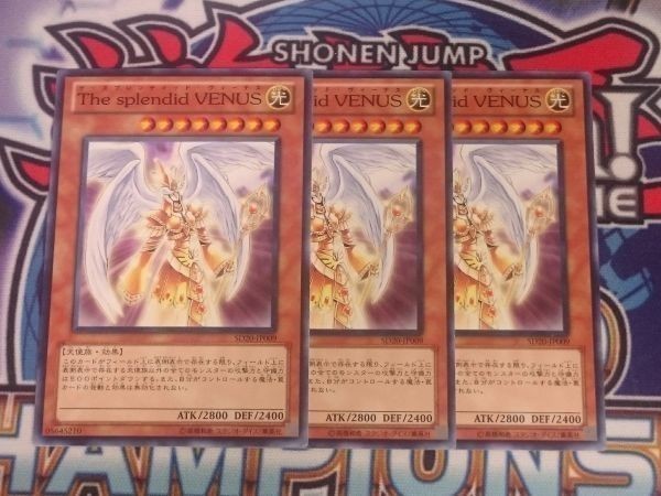 2026年最新】Yahoo!オークション -the splendid venus(遊戯王（コナミ