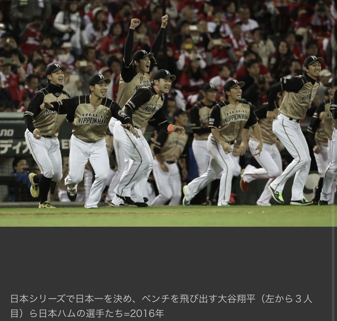 送料無料 即決 北海道日本ハムファイターズ 大谷翔平選手ビジター