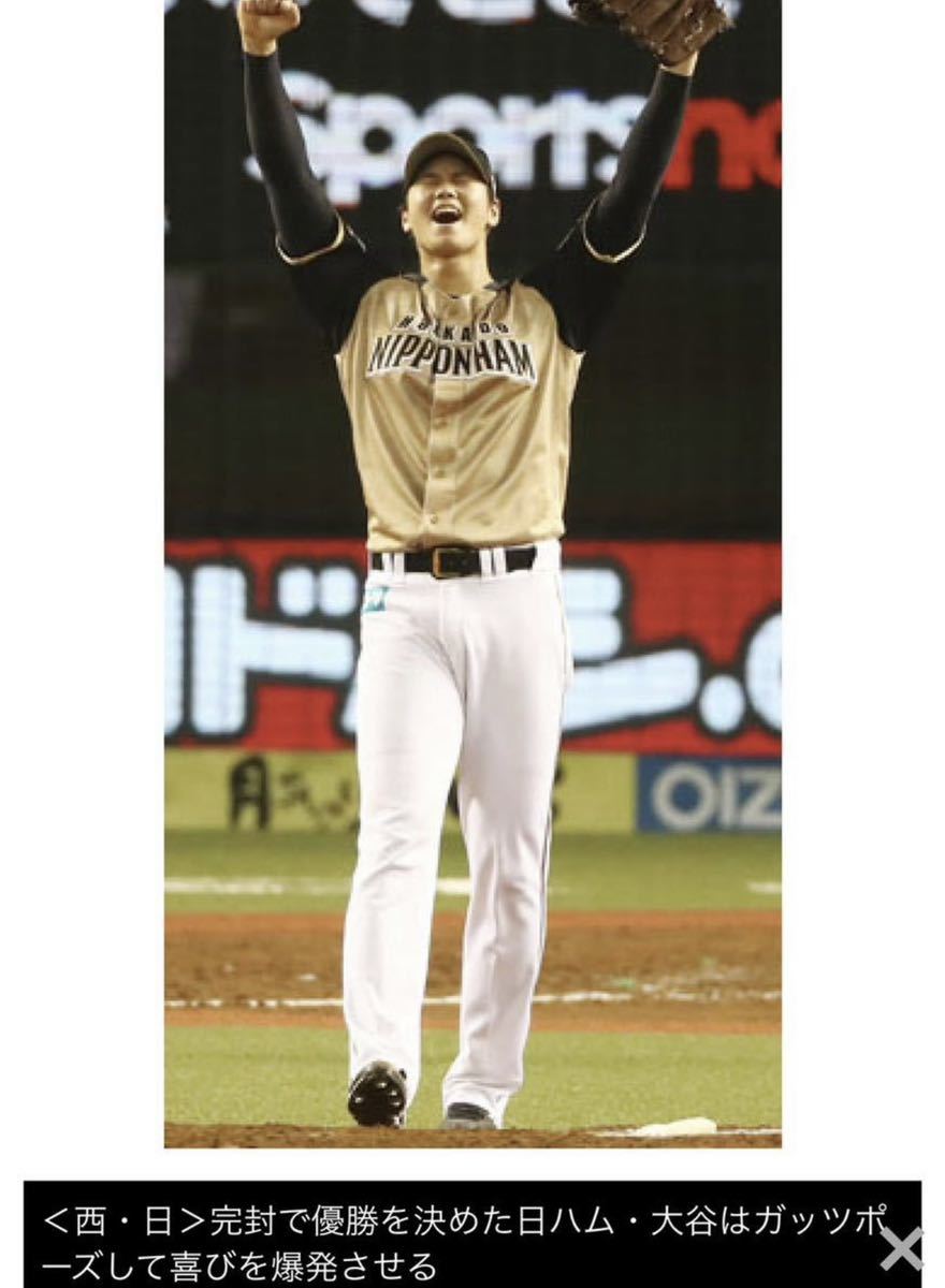 送料無料 即決 北海道日本ハムファイターズ 大谷翔平選手ビジター