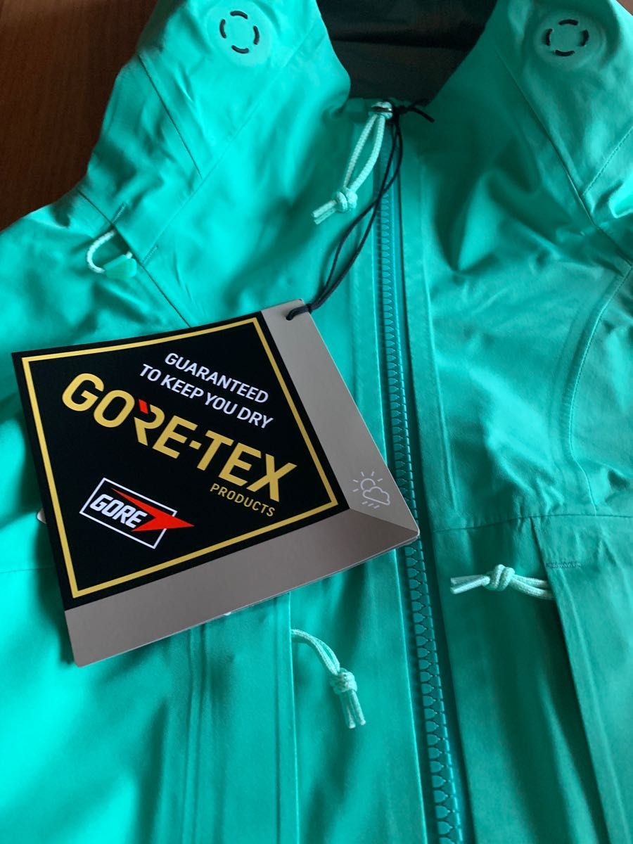 NIKE 新品未使用 ACG Storm-FIT GORE-TEX エーシージー ゴアテックス