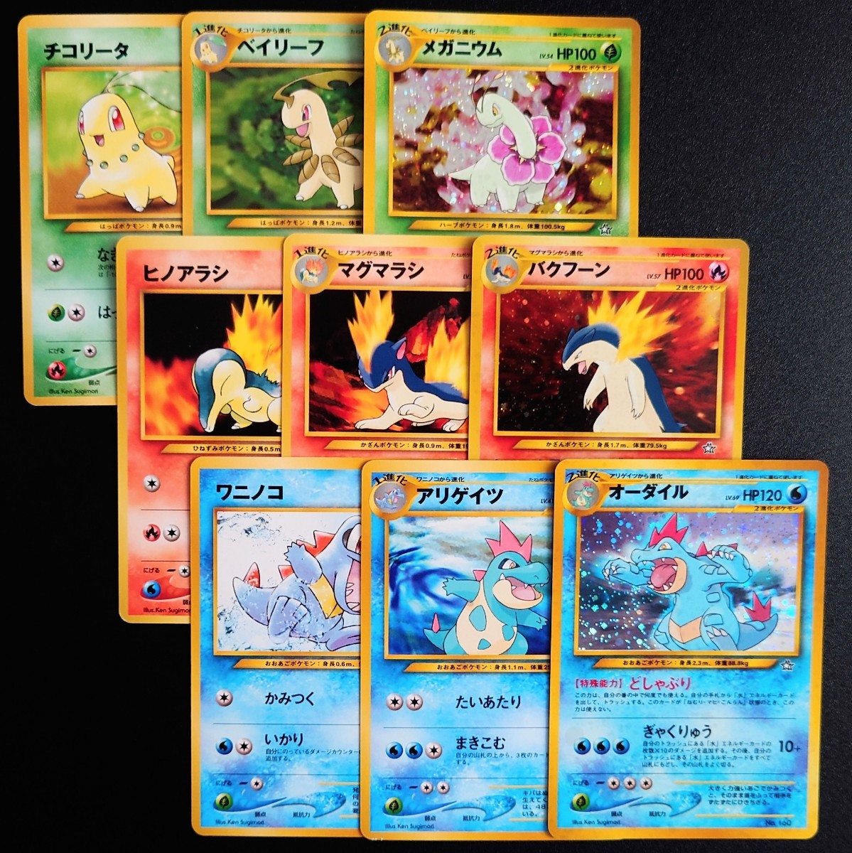 ポケモンカード 旧裏面 プレミアムファイル 9枚【旧裏/ネオ/neo