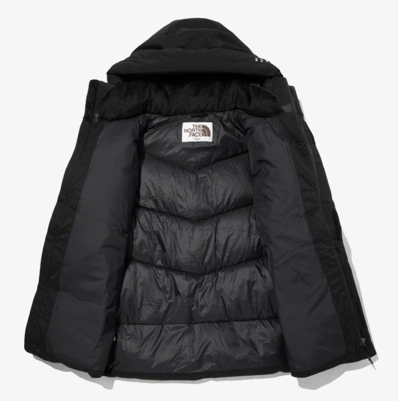 ラス2 ノースフェイス ダウンジャケット FREE MOVE DOWN JACKET 人気