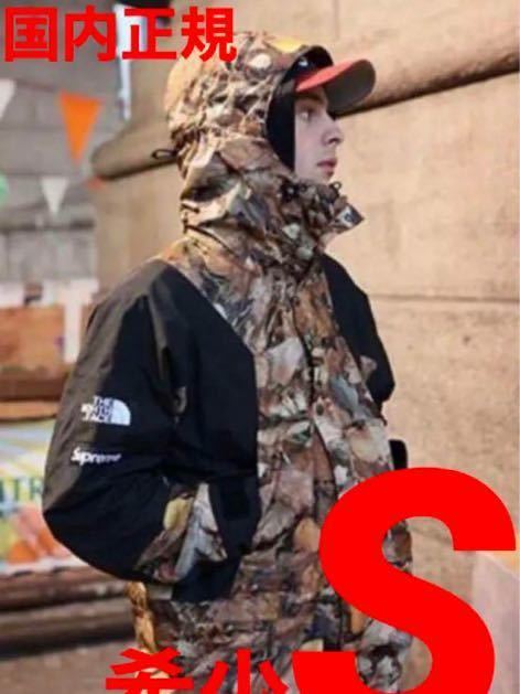 Supreme The North Face Leaves Mountain Light Jacket Small