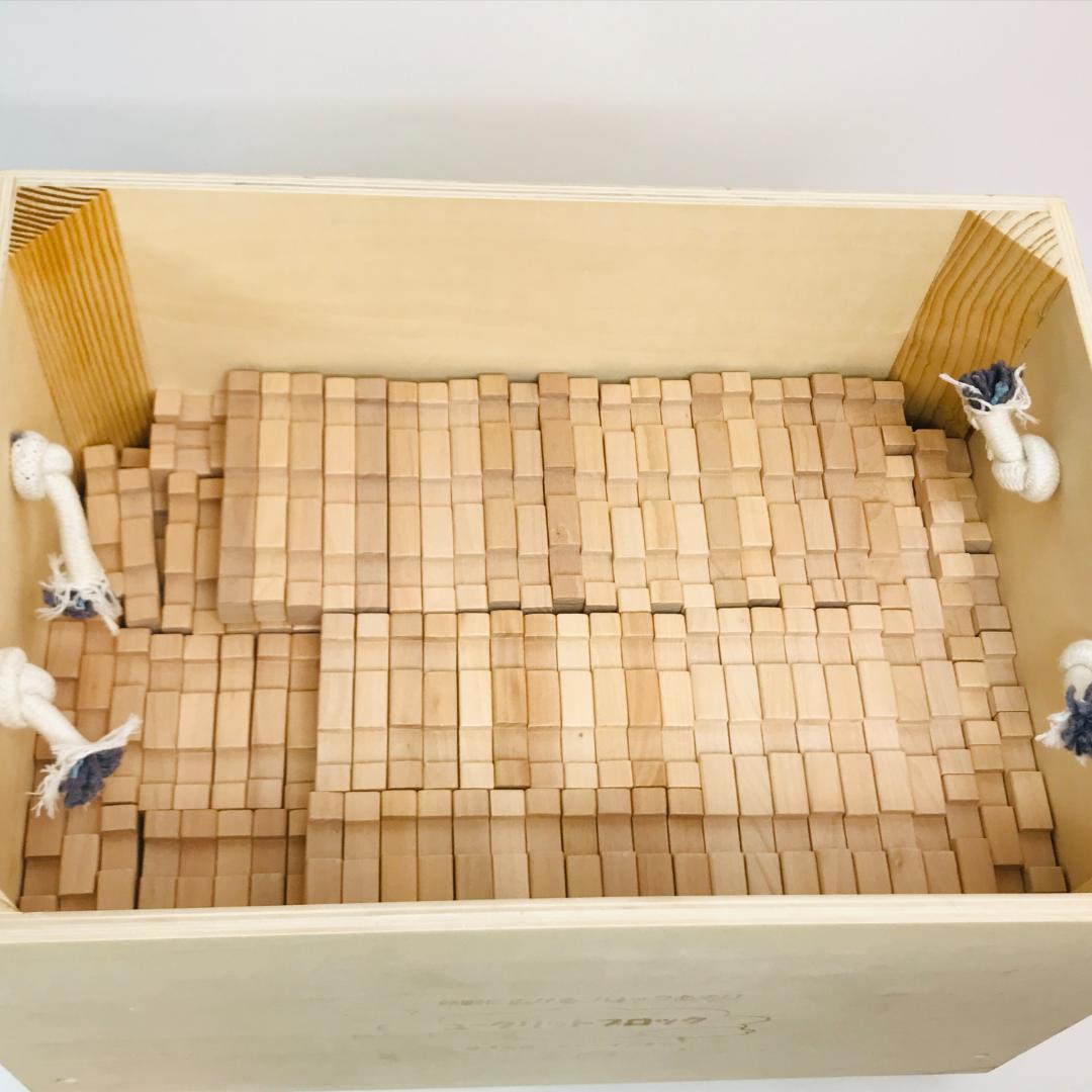 エドインター ユークリッドブロック 600pcs 知育 木製ブロック 積木