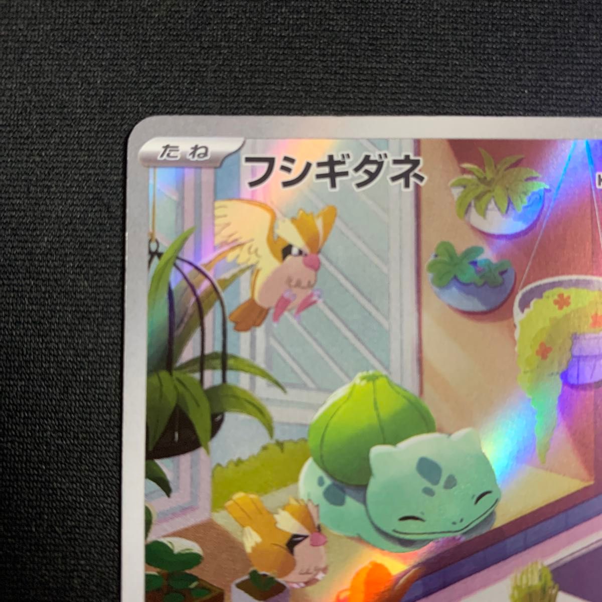 フシギダネ AR フルイラスト スペシャルデッキセットex ポケカ｜Yahoo