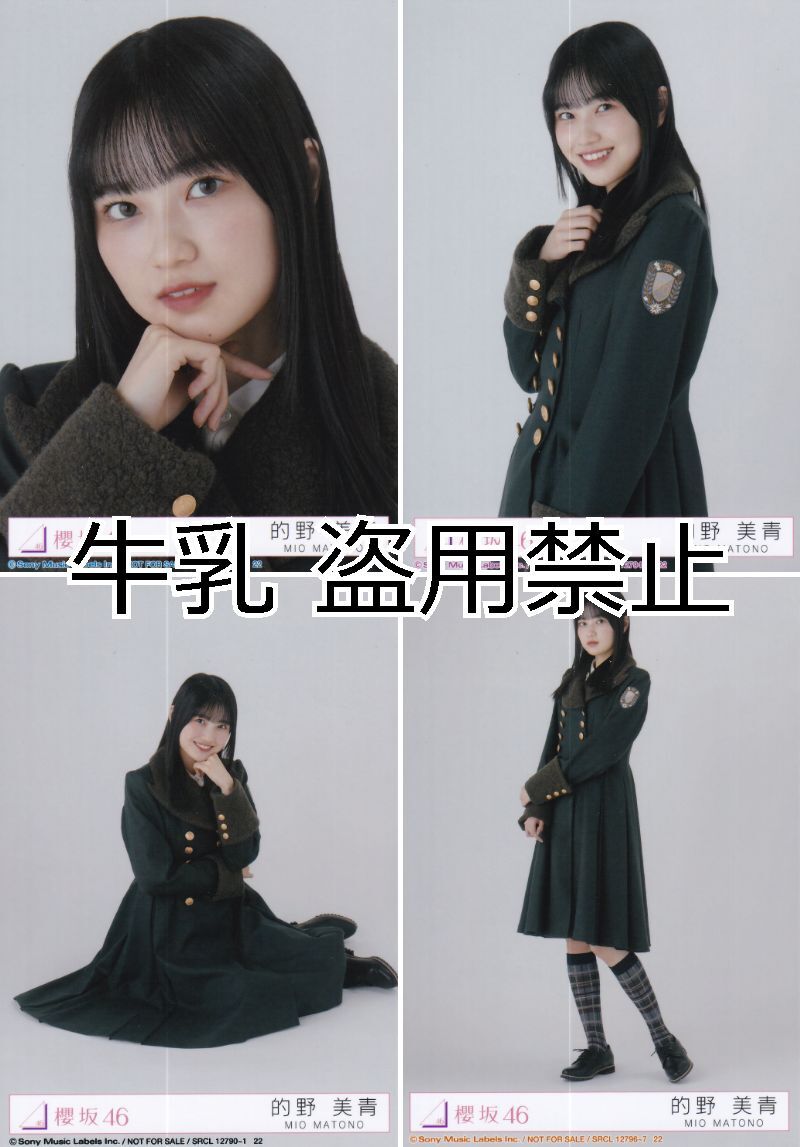 的野美青 生写真 コンプ 櫻坂46 何歳の頃に戻りたいのか｜Yahoo!フリマ