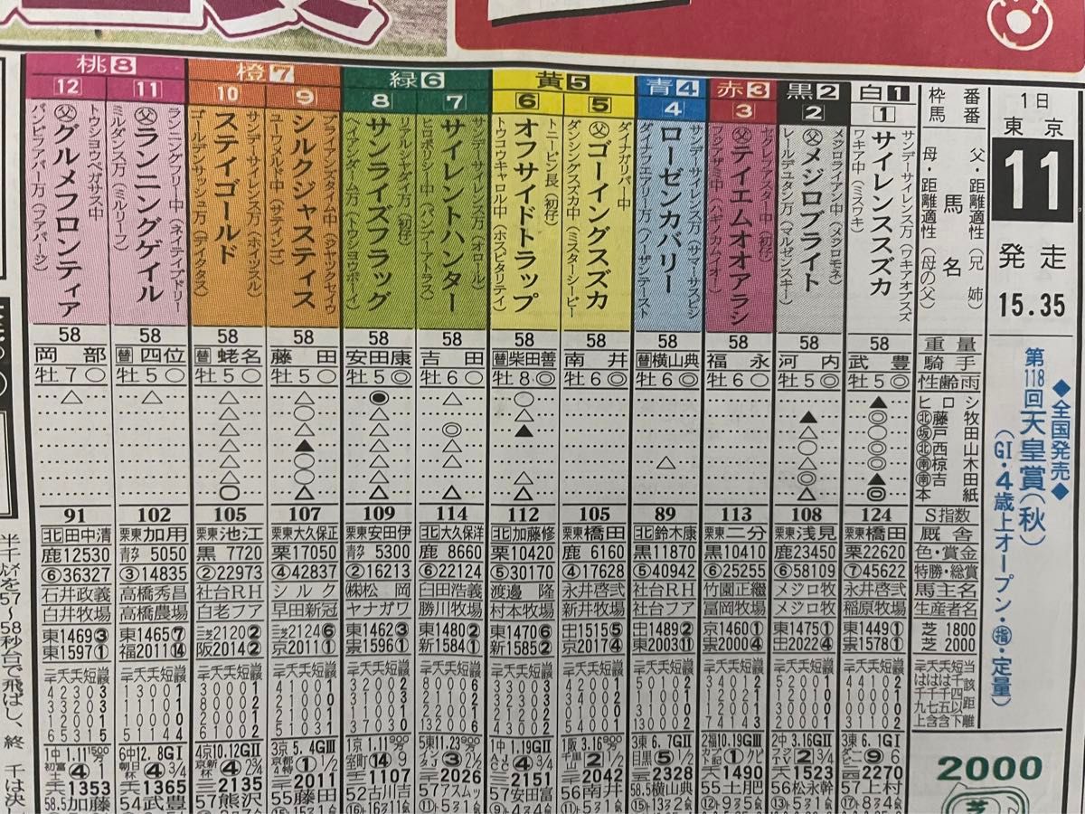 1998年 第118回 天皇賞 秋 サイレンススズカ メジロブライト 単勝馬券