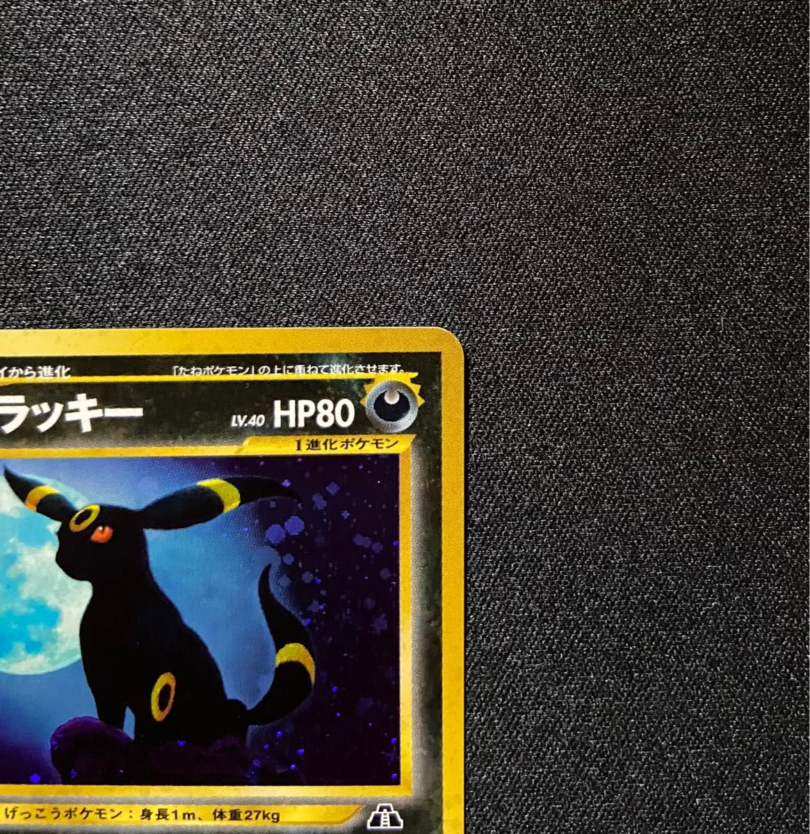 美品-極美品】ポケモンカード ブラッキー No 197 旧裏 遺跡をこえて