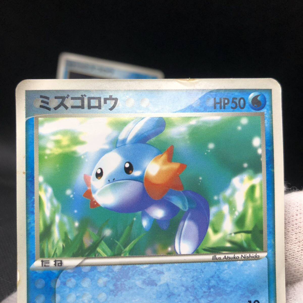 ポケモンカード タケシのミズゴロウ ミズゴロウ プロモカード セット