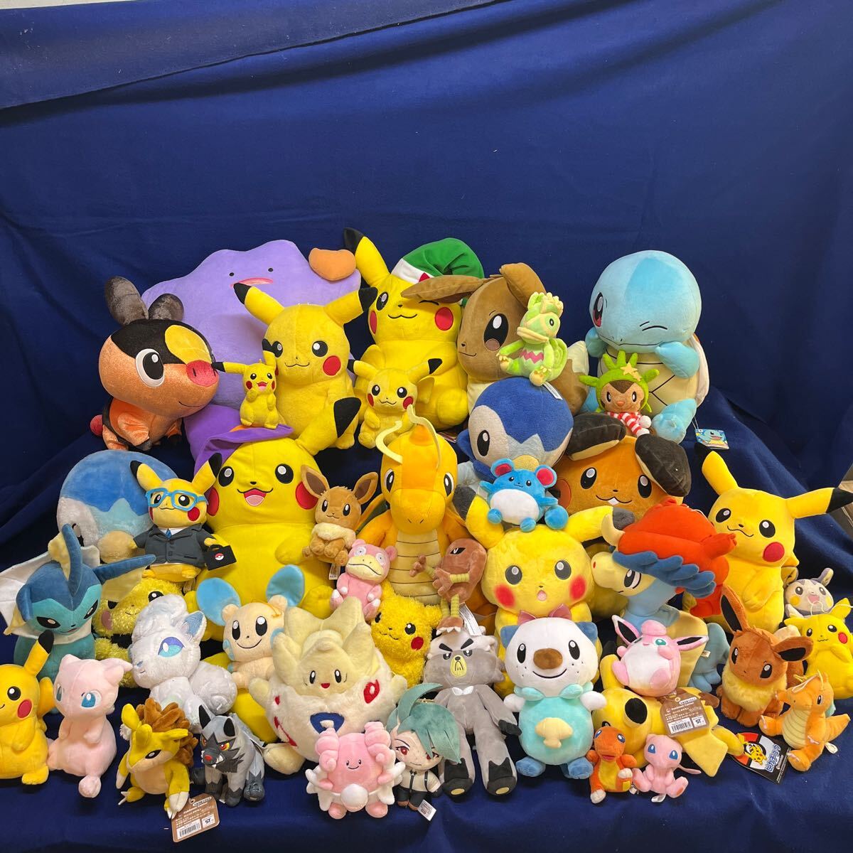 Yahoo!オークション - ポケモンセンター 超大量 セット まとめて ぬい