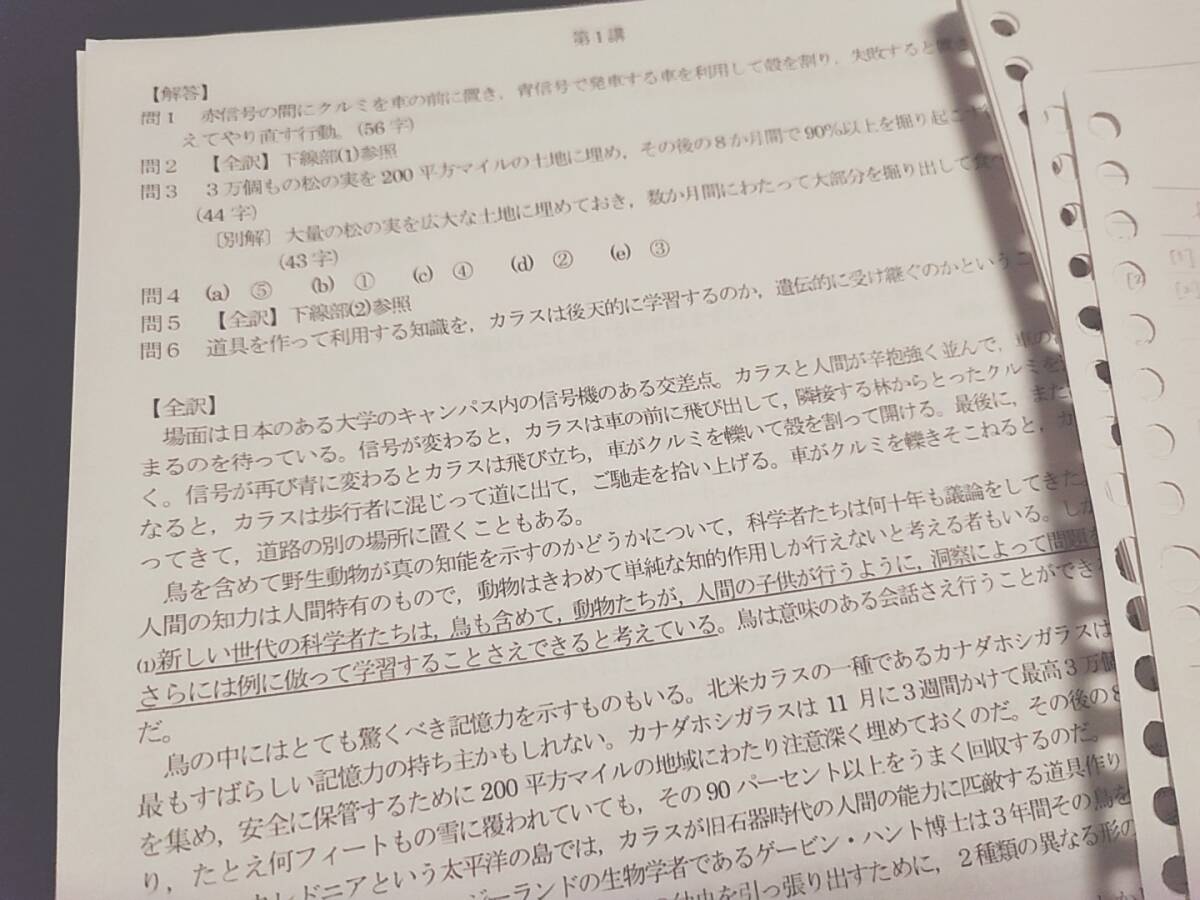 河合塾 登木健司先生 最新版 20年前期完結 長文総合英語T テキスト