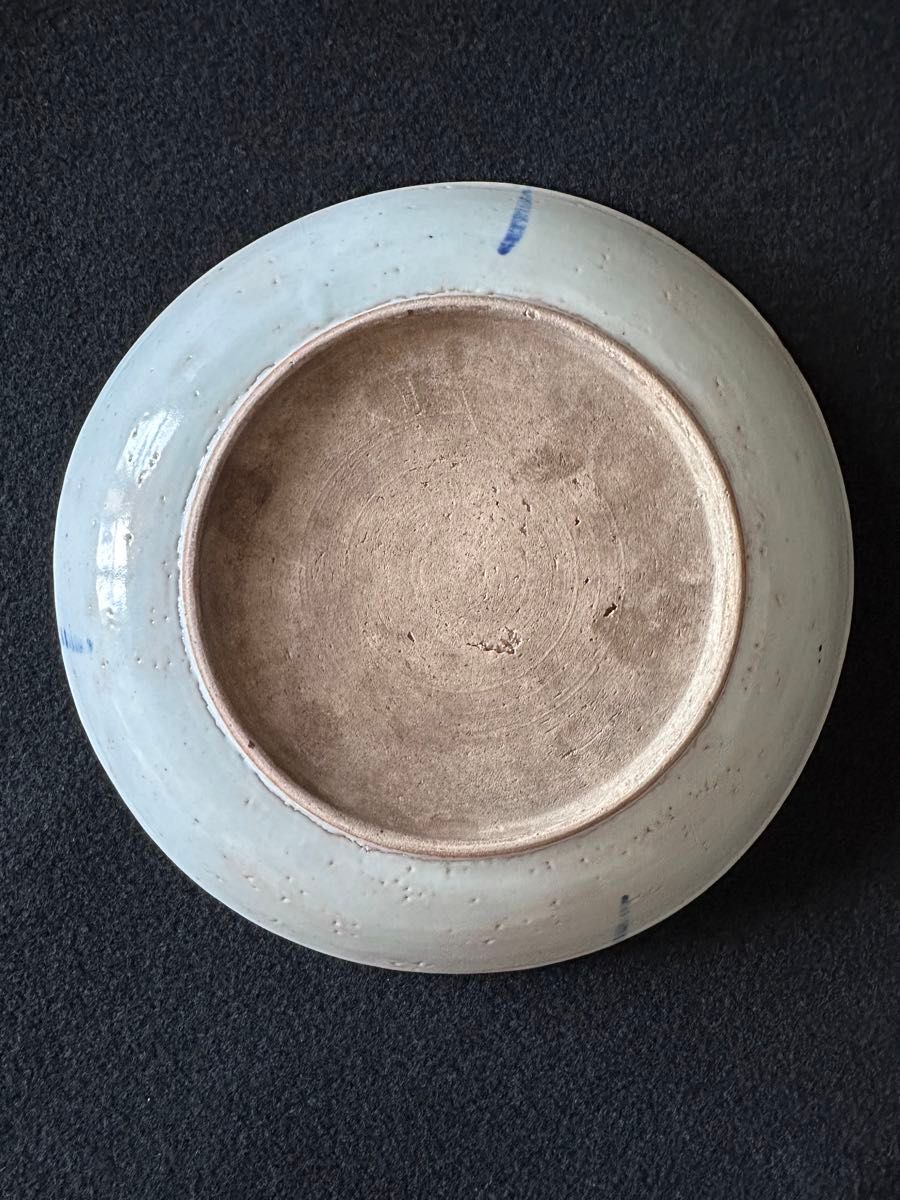 清朝期 南京赤絵 青華魚文皿 直径約21cm 古美術 中国美術 清時代③