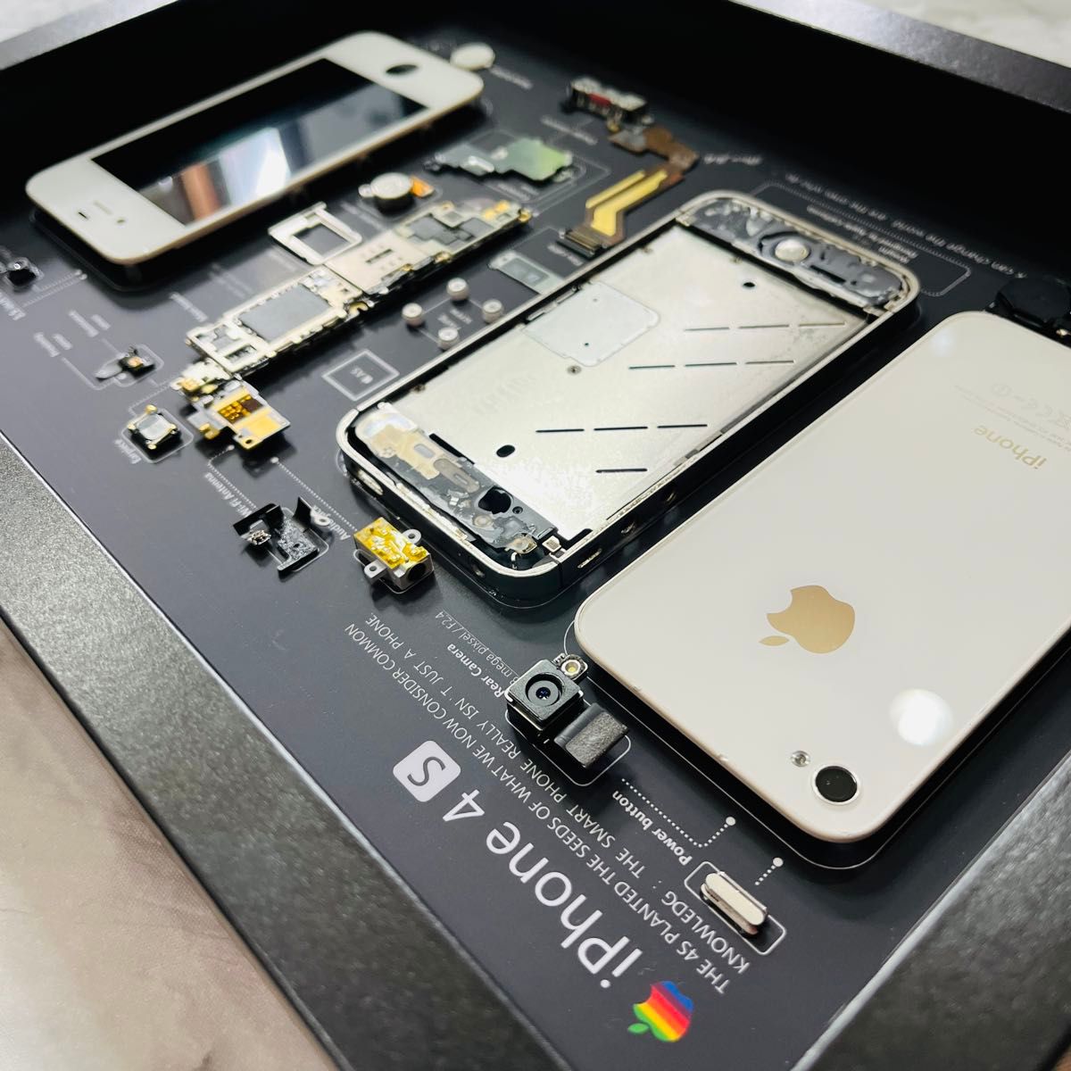 iPhone 4s 標本アート ボックスフレーム仕様｜Yahoo!フリマ（旧PayPay