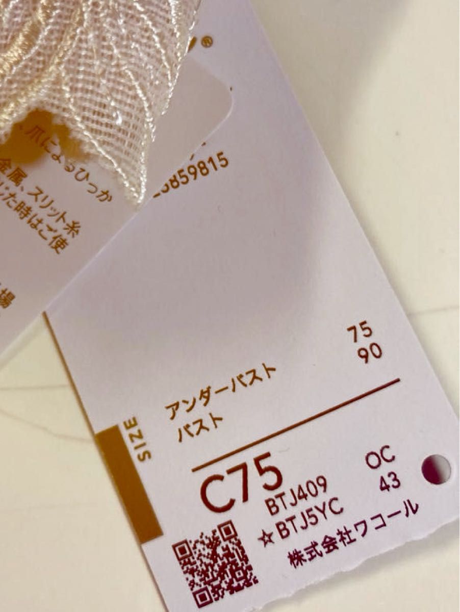 ワコール/サルート 09 店舗限定 P-upブラ&ソングセット C75 M新品タグ