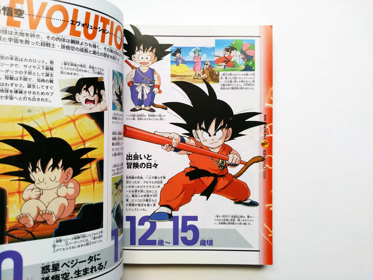 即決 送料込み 2004年発行 ドラゴンボールZ 孫悟空伝説 テレビアニメ