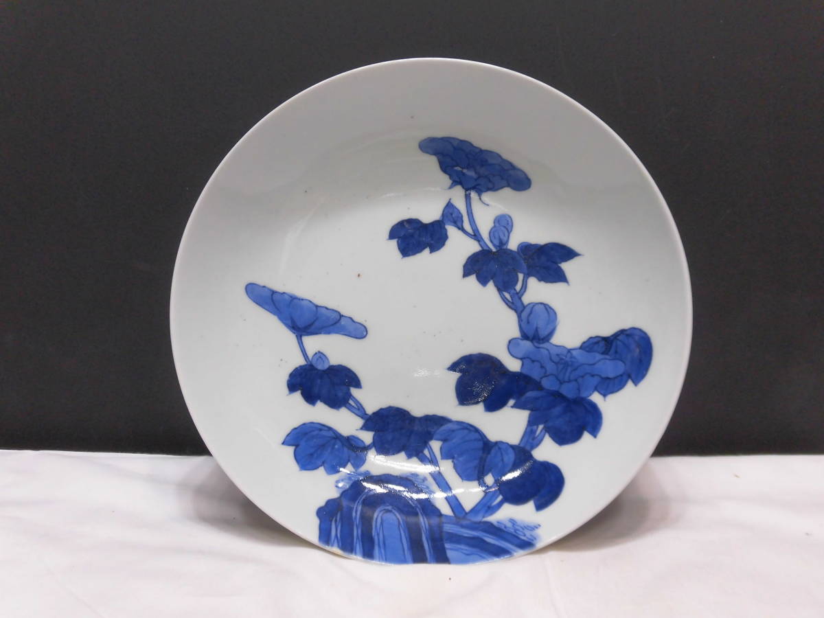 献上品＝名品、染付五寸皿鍋島焼（菊花文）江戸後期、鍋島様式、