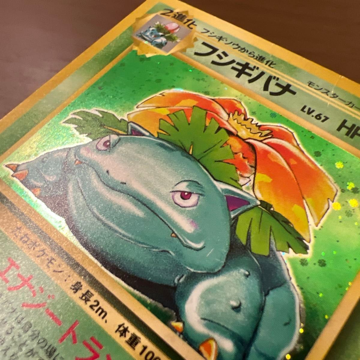 旧裏 全面ホロ】フシギバナ 第1弾拡張パック 全面ホロ 旧裏 フシギバナ
