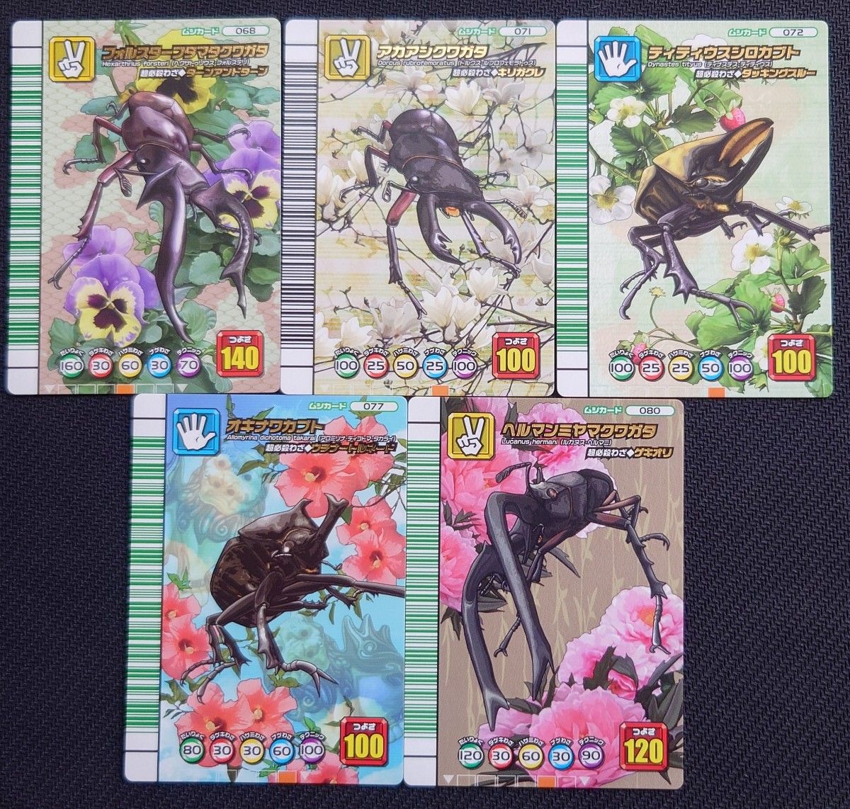 超希少 未使用 ムシキング 5周年 コレクションカード 第1弾 62種類