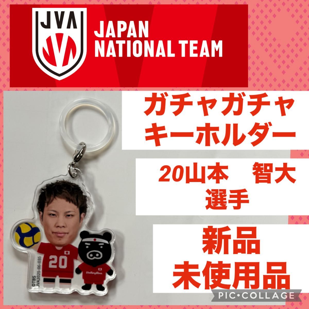 山本 智大 バレーボール 男子 日本代表 新品 ガチャガチャ