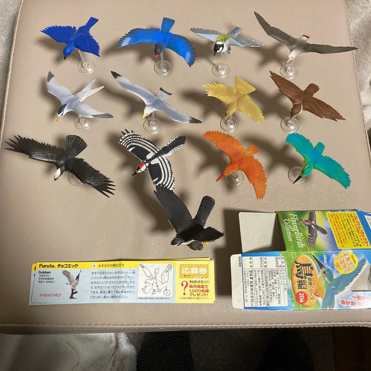 Furuta チョコエッグ 動物シリーズ鳥編 13種(シークレット含む)｜Yahoo