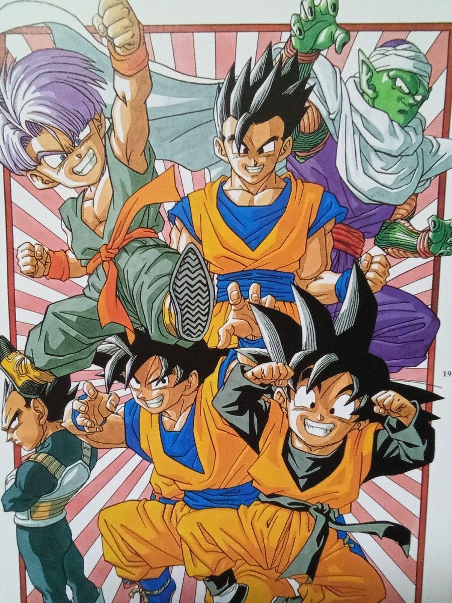 A4 壁掛け 額付き ドラゴンボール イラスト 鳥山明 孫悟空 孫悟飯