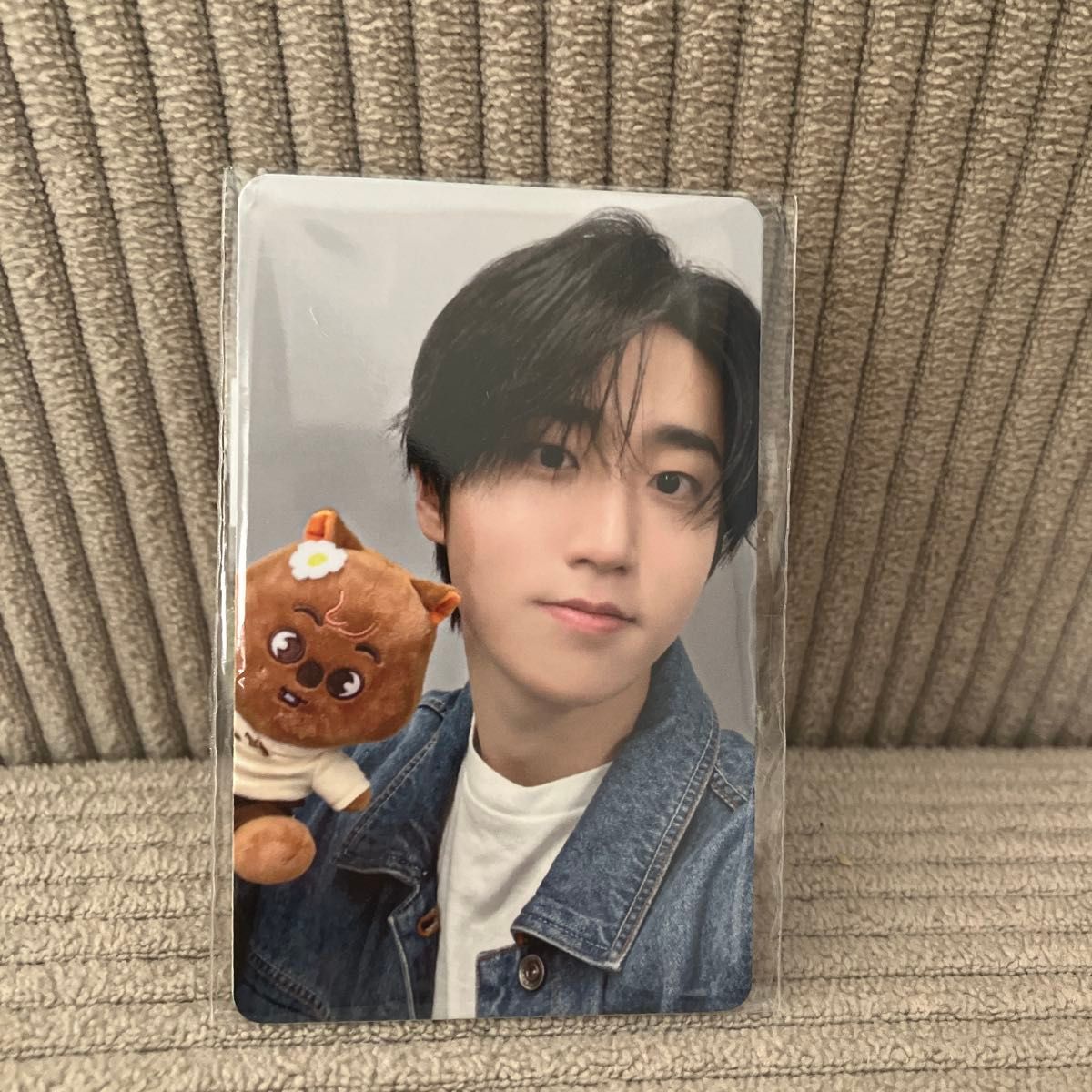 straykids ストレイキッズ スキズ zootopia ズートピア トレカ｜Yahoo