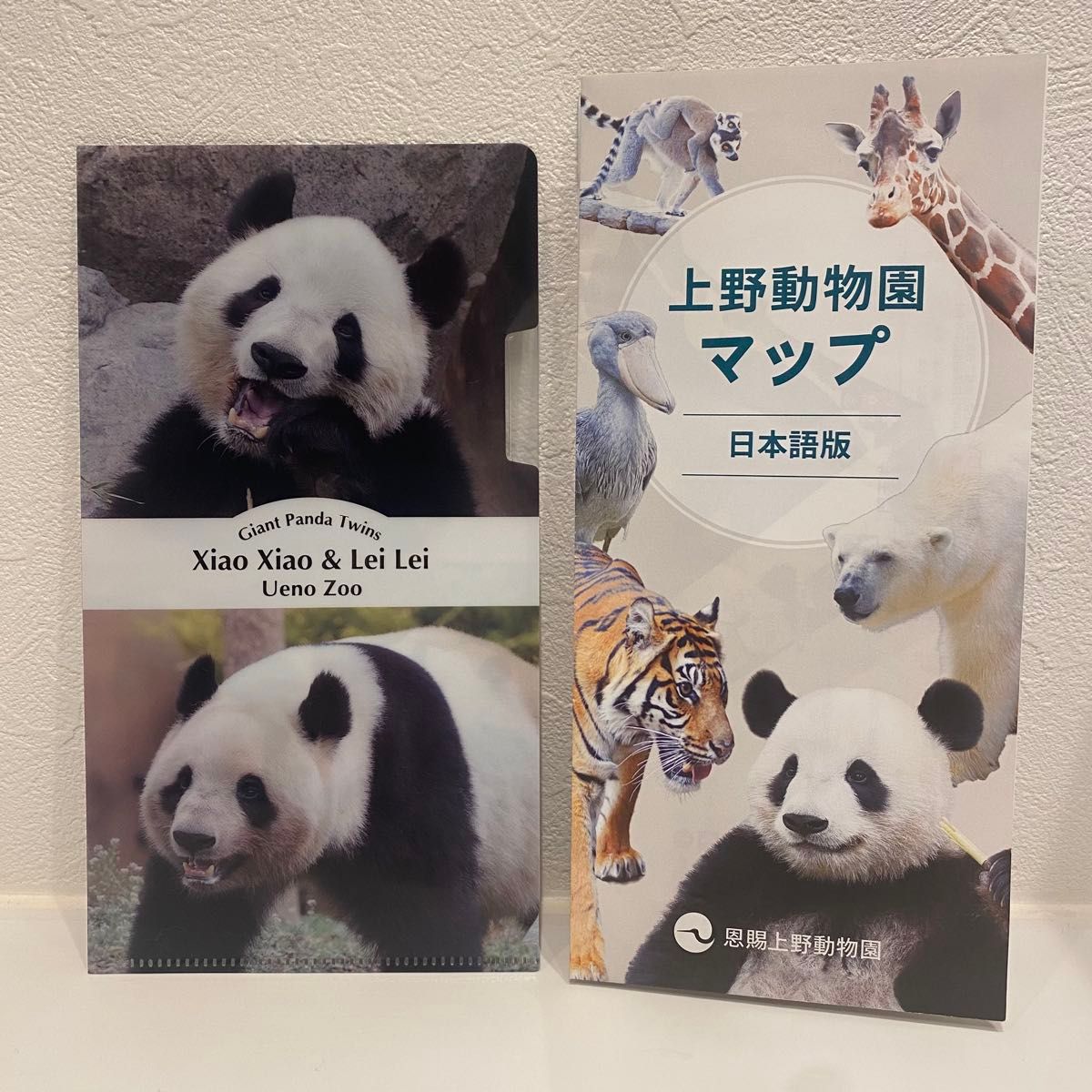 上野動物園 ジャイアントパンダ シンシン シャオシャオ レイレイ