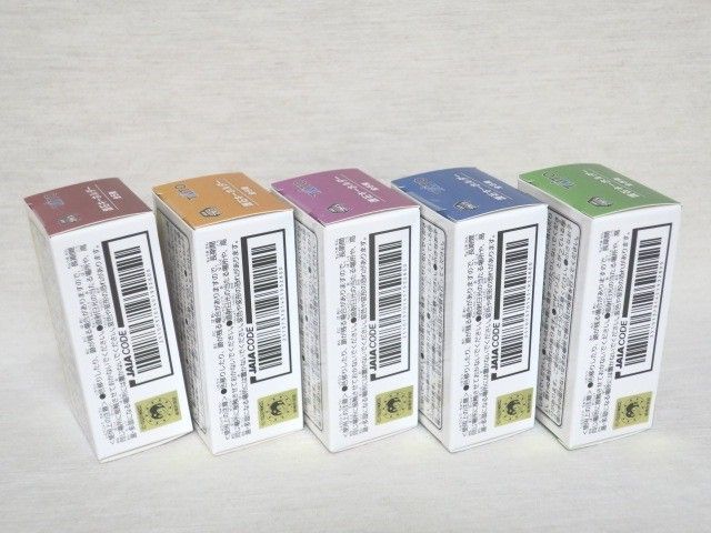 モンスターハンターワイルズ 護石キーホルダー 全5種 攻撃 体術 挑戦