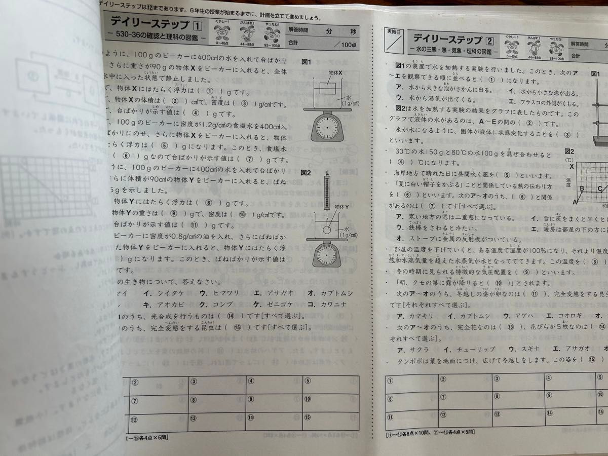 SAPIX 5年 理科 一年分 フルセットデイリーステップ スプリングサマー